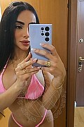 Castelletto Sopra Ticino Trans Escort Pamelita 331 15 07 952 foto selfie 1