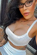 Desenzano Del Garda Trans Gabriella Gandini 371 48 18 868 foto selfie 3