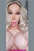 Cassano Delle Murge Trans Monique 320 18 30 286 foto selfie 4