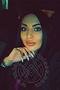 Montesilvano Escort Dayana Wild 393 12 89 500 foto selfie 9