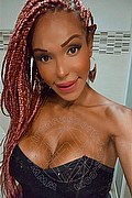 Forl Trans Escort Wanessa Armani 351 80 69 231 foto selfie 17