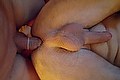 Reggio Emilia Trans Escort Chloe Prati 375 85 39 002 foto selfie 96