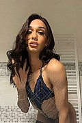 Milano Trans Escort Sofhia 351 34 78 264 foto selfie 1