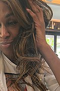 Pordenone Trans Escort Pantera 333 13 92 426 foto selfie 1