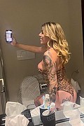 Bologna Trans Escort Clo Diamond Mazzini Pornostar 324 82 10 092 foto selfie 1