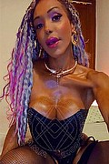 Alessandria Trans Escort Wanessa Armani 351 80 69 231 foto selfie 6