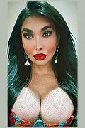 Roma Trans Kettley Lovato 376 13 62 288 foto selfie 1