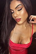Milano Trans Escort Sofia 351 35 23 901 foto selfie 2