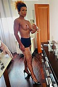 Padova Trans Escort Riccia 366 30 44 467 foto selfie 1