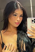 Milano Trans Danielly Carvalho 392 56 70 852 foto selfie 1