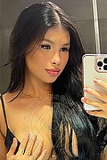 Milano Trans Escort Danielly Carvalho 392 56 70 852 foto selfie 1