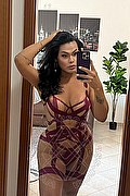 Rieti Trans Escort Gabryella Dantas 380 77 15 397 foto selfie 7