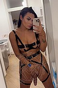 Rieti Trans Escort Gabryella Dantas 380 77 15 397 foto selfie 38