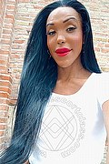 Viareggio Trans Escort Wanessa Armani 351 80 69 231 foto selfie 3