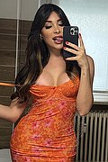 Torino Trans Escort Safina 334 25 85 465 foto selfie 1