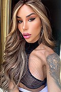 Gallarate Trans Escort Heloisa Tx 389 24 28 774 foto selfie 1