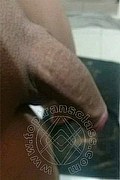 Prato Trans Dani 353 39 48 337 foto selfie 10