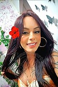 Montecchio Maggiore Trans Escort Priscilla Dotata 347 67 97 955 foto selfie 25