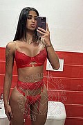 Roma Trans Larah Brasiliana 380 38 24 224 foto selfie 24