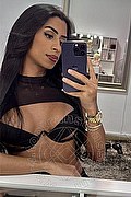 Roma Trans Larah Brasiliana 380 38 24 224 foto selfie 13
