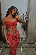 Roma Trans Escort Lara Brasiliana 380 38 24 224 foto selfie 3