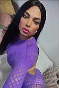 Malaga Trav Escort Ariadna  0034602633849 foto selfie 3