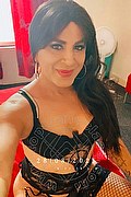 Verona Trans Miranda Prada 392 39 88 812 foto selfie 4