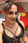 Verona Trans Miranda Prada 392 39 88 812 foto selfie 7