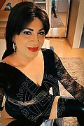 Verona Trans Miranda Prada 392 39 88 812 foto selfie 1