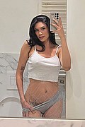 Alessandria Trans Escort Paula Bituschini 389 88 57 998 foto selfie 1