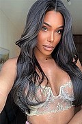 Roma Trans Stephany  0036203304163 foto selfie 3