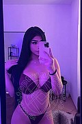 Enna Trans Catalina 392 50 94 281 foto selfie 4