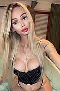 Treviso Trans Stefany Hilton Angel 353 21 19 286 foto selfie 2