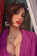 Monza Trans Escort Regina Audrey Italiana 388 98 31 116 foto selfie 3
