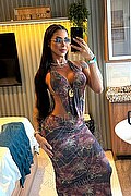 Bologna Trans Aline Andrade 352 06 86 105 foto selfie 23