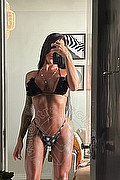 Bologna Trans Aline Andrade 352 06 86 105 foto selfie 3