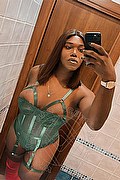 Genova Trans Escort Paloma TerzaGamba 320 93 35 366 foto selfie 3