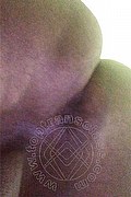 Belo Horizonte Trans Luana Vendramini  005531983477439 foto selfie 7