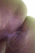Belo Horizonte Trans Escort Luana Vendramini  005531983477439 foto selfie 7