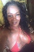 Belo Horizonte Trans Luana Vendramini  005531983477439 foto selfie 1