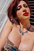 Monza Trans Escort Regina Audrey Italiana 388 98 31 116 foto selfie 127