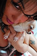 Napoli Trans Escort Melissa Baiana 329 24 64 336 foto selfie 11