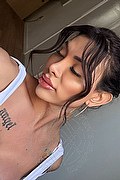 Cuneo Trans Escort Gabriela Lemos 393 25 98 874 foto selfie 1