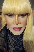 Milano Trans Nicole Vip Venturiny 353 35 38 868 foto selfie 35