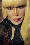 Milano Trans Nicole Vip Venturiny 353 35 38 868 foto selfie 28