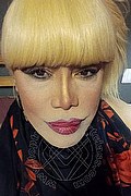 Milano Trans Escort Nicole Vip Venturiny 353 35 38 868 foto selfie 27