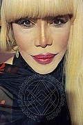 Milano Trans Escort Nicole Vip Venturiny 353 35 38 868 foto selfie 7