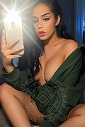 Milano Trans Escort Kasy Sexy 351 03 03 795 foto selfie 1