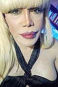 Milano Trans Nicole Vip Venturiny 353 35 38 868 foto selfie 15