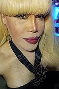 Milano Trans Nicole Vip Venturiny 353 35 38 868 foto selfie 14